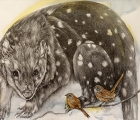 Work by Anne Tweed
