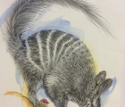 Work by Anne Tweed
