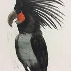 Work by Carolyn Graham