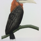 Work by Carolyn Graham