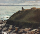 Work by Jan McNeill
