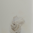 Lee Shelden