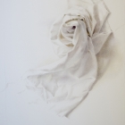 Work by Lee Shelden