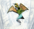 Work by Liz McLennan