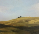 Work by Jan McNeill