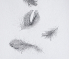 Work by Sally Roadknight