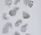 Work by Sally Roadknight