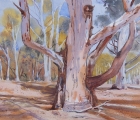 Margaret Cromb