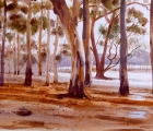 Work by Margaret Cromb