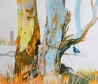 Work by Margaret Cromb