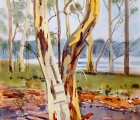 Work by Margaret Cromb