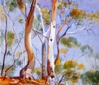 Work by Margaret Cromb