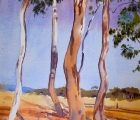 Work by Margaret Cromb