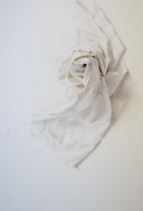 images for falkner gallery exhibition