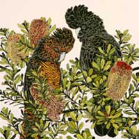 Red-Tailed-Blacks-(2)-S