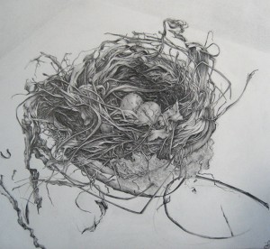 Tweed_Anne_Resting
